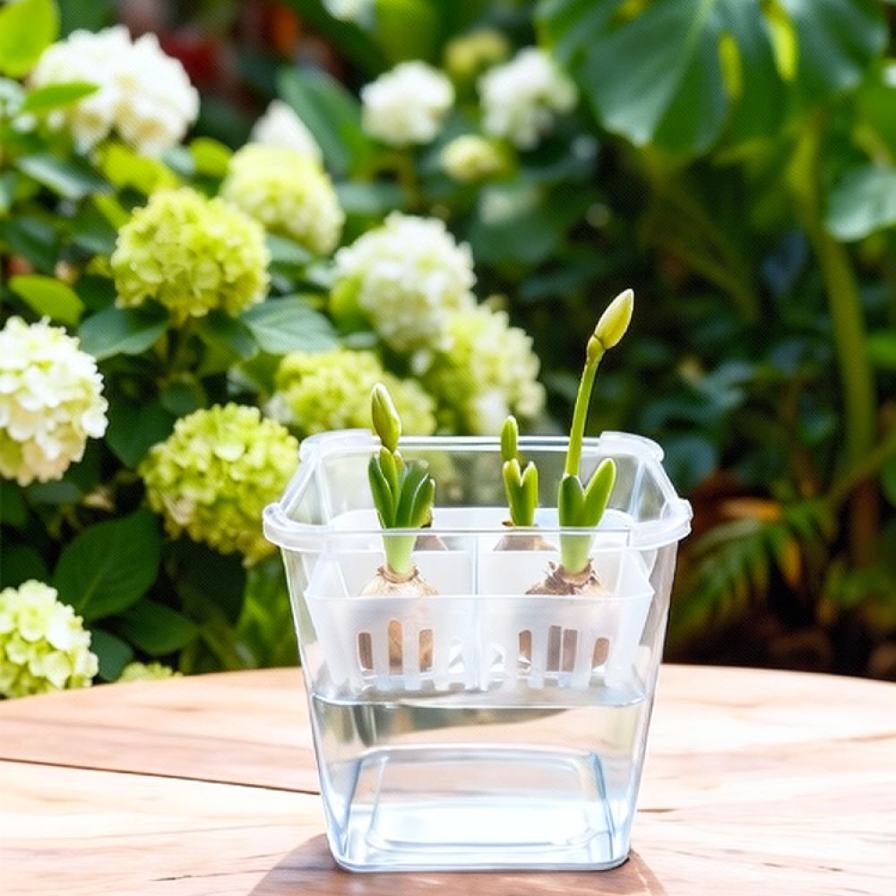 Wazon do uprawy tulipanów i li – Vase Decor recenzja i cena